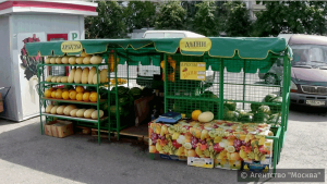 Пять торговых точек по продаже арбузов и дынь открылись в августе в муниципальном округе Нагатино-Садовники