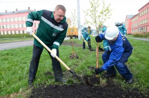 Акция «Миллион деревьев» продолжается в Москве. В районе Нагатино-Садовники высадят деревья и кустарники, которые жители хотели бы видеть в своих дворах
