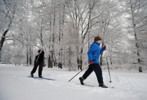 В районе Нагатино-Садовники в эту субботу, 23 января, пройдет лыжная гонка среди местных жителей