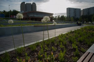 В ЮАО площадка откроется в парке «Садовники» 