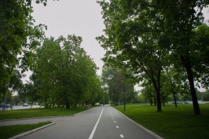 На фото велосипедная дорожка в одном из парков ЮАО 