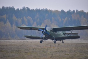Площадка для прыжков находится недалеко от Чехова 