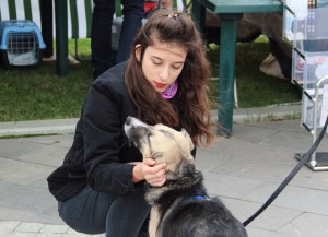 «Собаки, которые любят»: на юге Москвы прошла благотворительная выставка бездомных животных