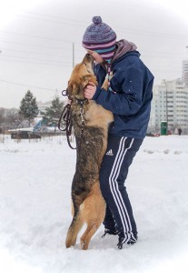 Волонтер с собакой из приюта