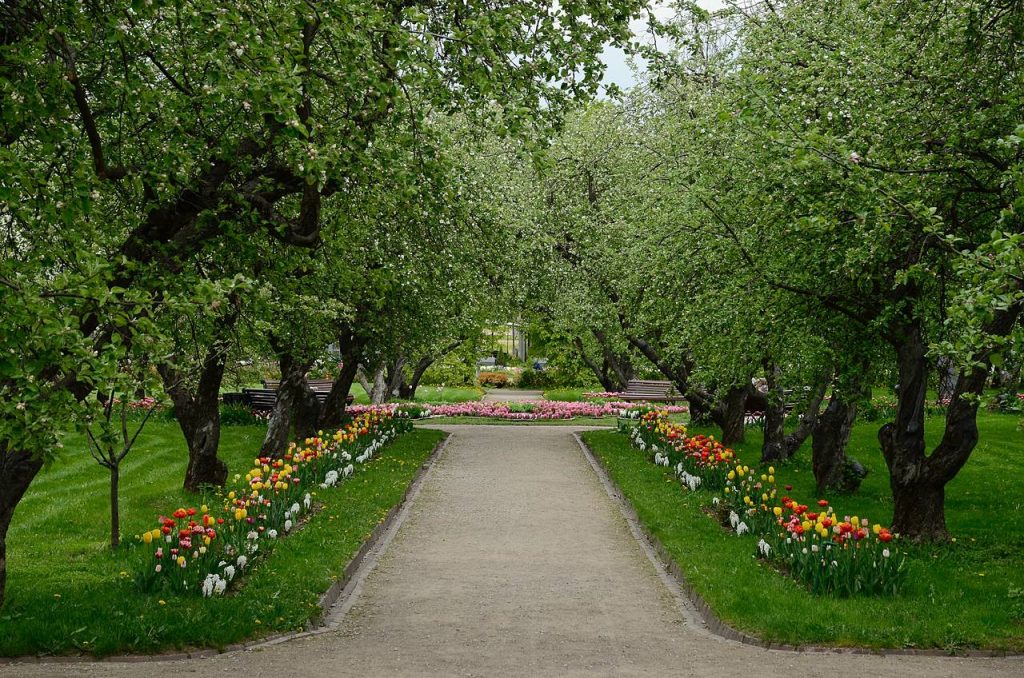 Культурный фестиваль пройдет в музее-заповеднике «Коломенское». Фото: Ксения Догонашева, «Вечерняя Москва»