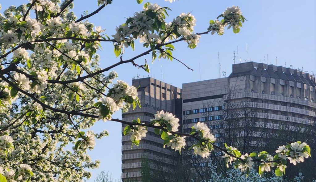 Директор НМИЦ онкологии имени Николая Блохина примет участие в профессиональном форуме. Фото: Алина Моисеенко, «Вечерняя Москва»