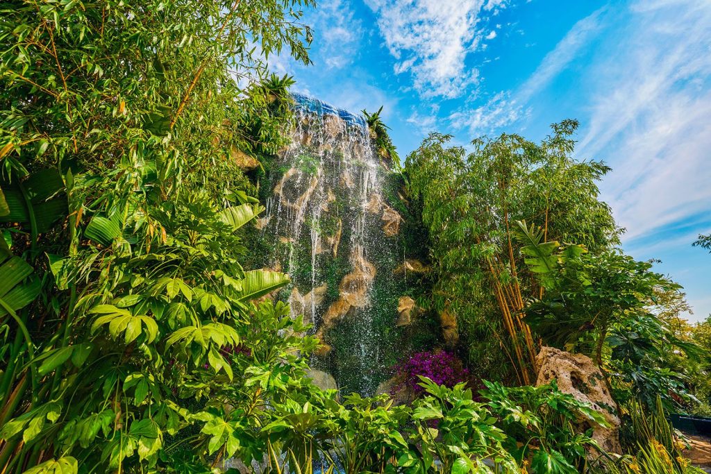 На фестивале «Сады и цветы» в этом году можно увидеть редкие растения. Фото: сайт мэра Москвы