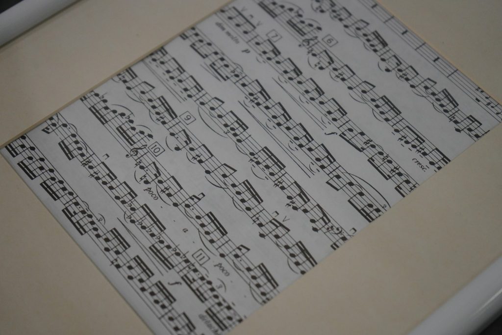 Сотрудники МКИМ сообщили о выходе музыкального альбома своего педагога. Фото: Анна Быкова, «Вечерняя Москва»