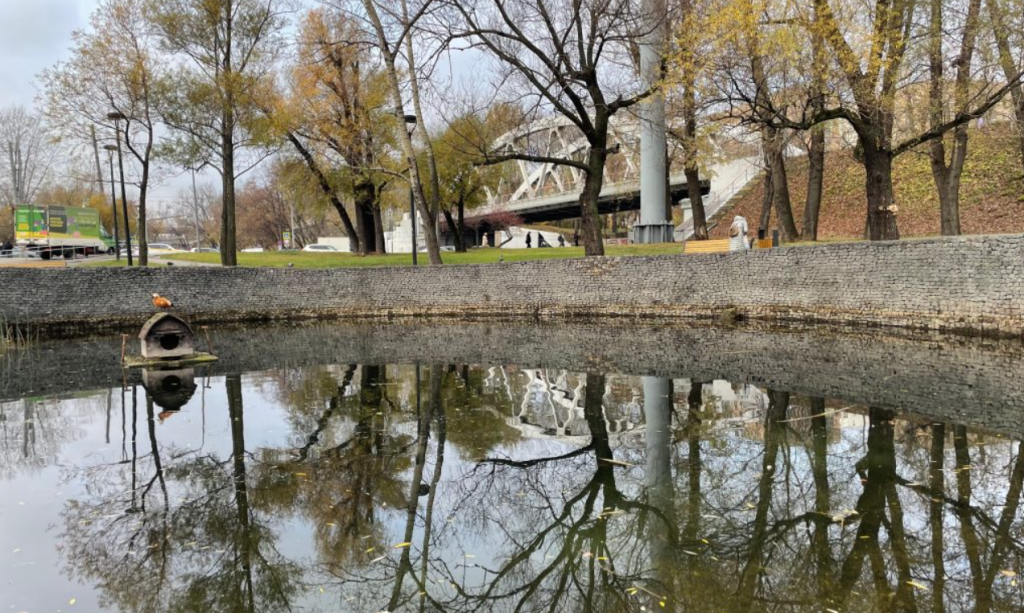 Пруд в Нагатине-Садовниках привели в порядок. Фото: официальная страница управы района Нагатино-Садовники в социальных сетях
