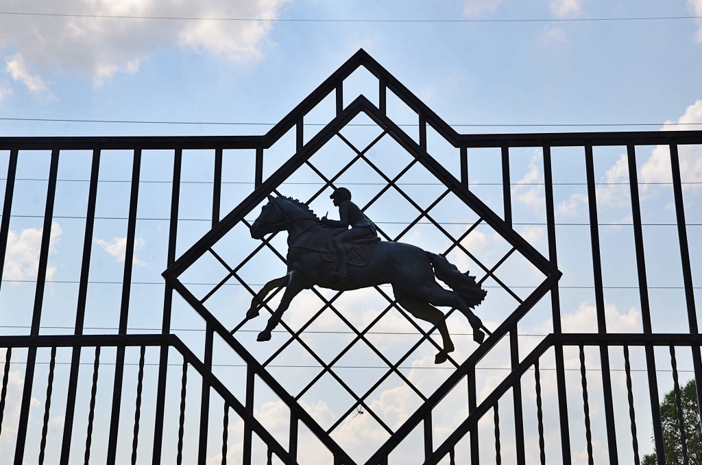 Новую фотовыставку организовали в Парке имени Юрия Лужкова. Фото: Анна Быкова, «Вечерняя Москва»