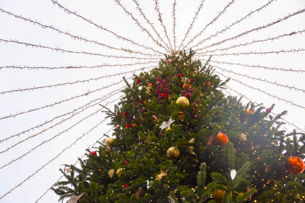 Предновогоднюю программу анонсировали представители музея-заповедника «Коломенское». Фото: Ксения Догонашева, «Вечерняя Москва»
