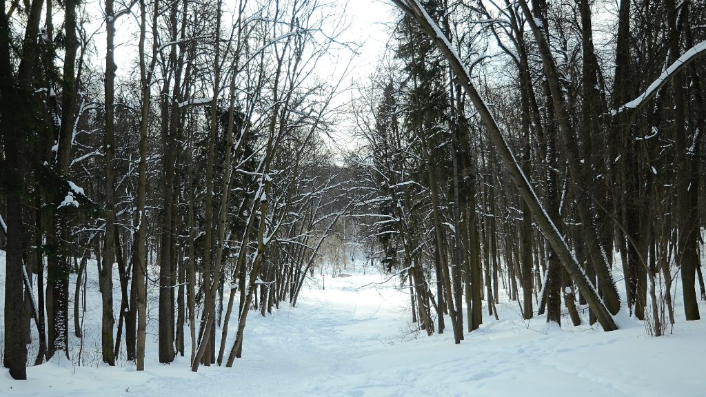 Тренировка по фитнесу состоится в Парке имени Юрия Лужкова. Фото: Анна Быкова, «Вечерняя Москва»