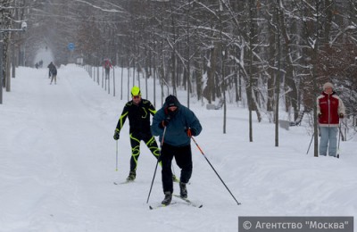 В Нагатино-Садовниках прошел традиционный турнир по лыжным гонкам