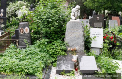На фото Новодевичье кладбище