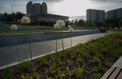 В ЮАО площадка откроется в парке «Садовники»