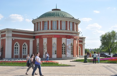 Фестиваль «Мир глазами детей» пройдет 4 июня в музее-заповеднике «Царицыно»