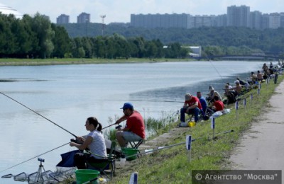 В столичных парках предложили оборудовать места для рыбалки с прокатом удочек