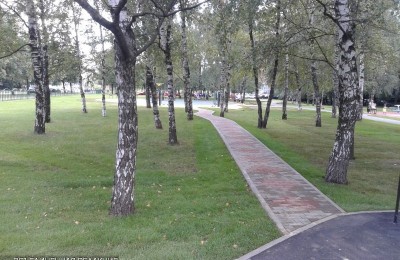Московские зоны отдыха обработали от клещей