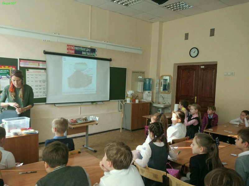 Интерактивное путешествие на Камчатку в школе №507