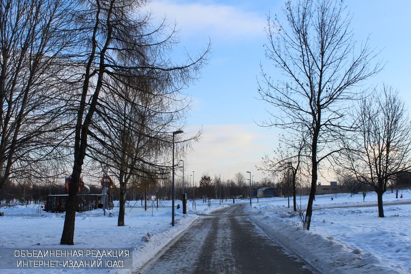 Зима в парке "Садовники"