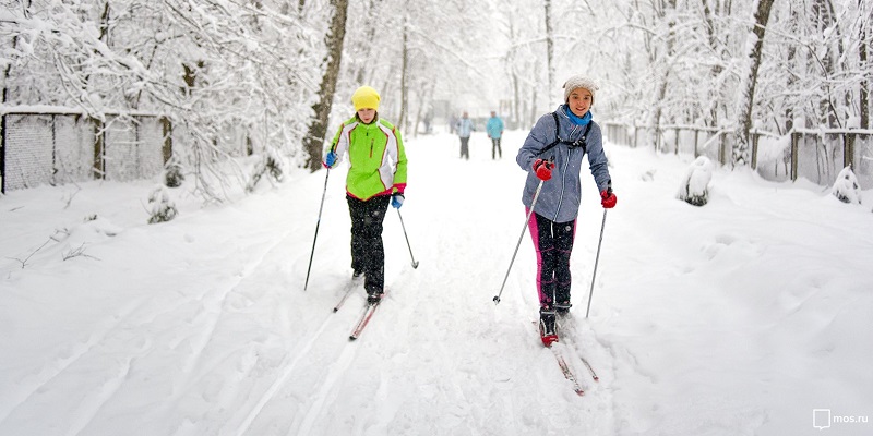 «Даешь лыжню!»: в парке «Садовники» появятся лыжные трассы