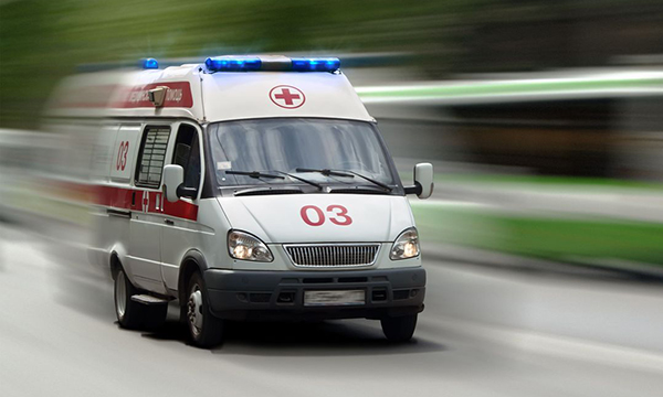 ЕдРо-25.01.2019-нет-жестокости