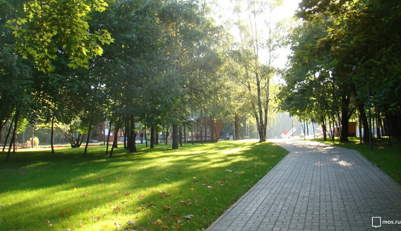 Написать картину, заняться Таэквон-до и покататься на мотокроссе: «Лето в парках» будет жарким