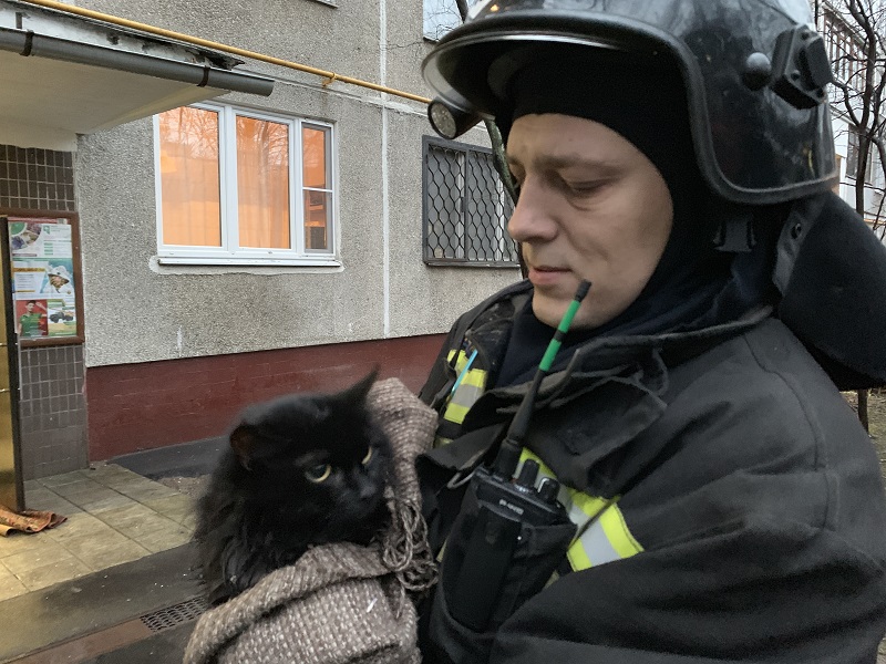 На Юге Москвы огнеборцы спасли кота на пожаре!