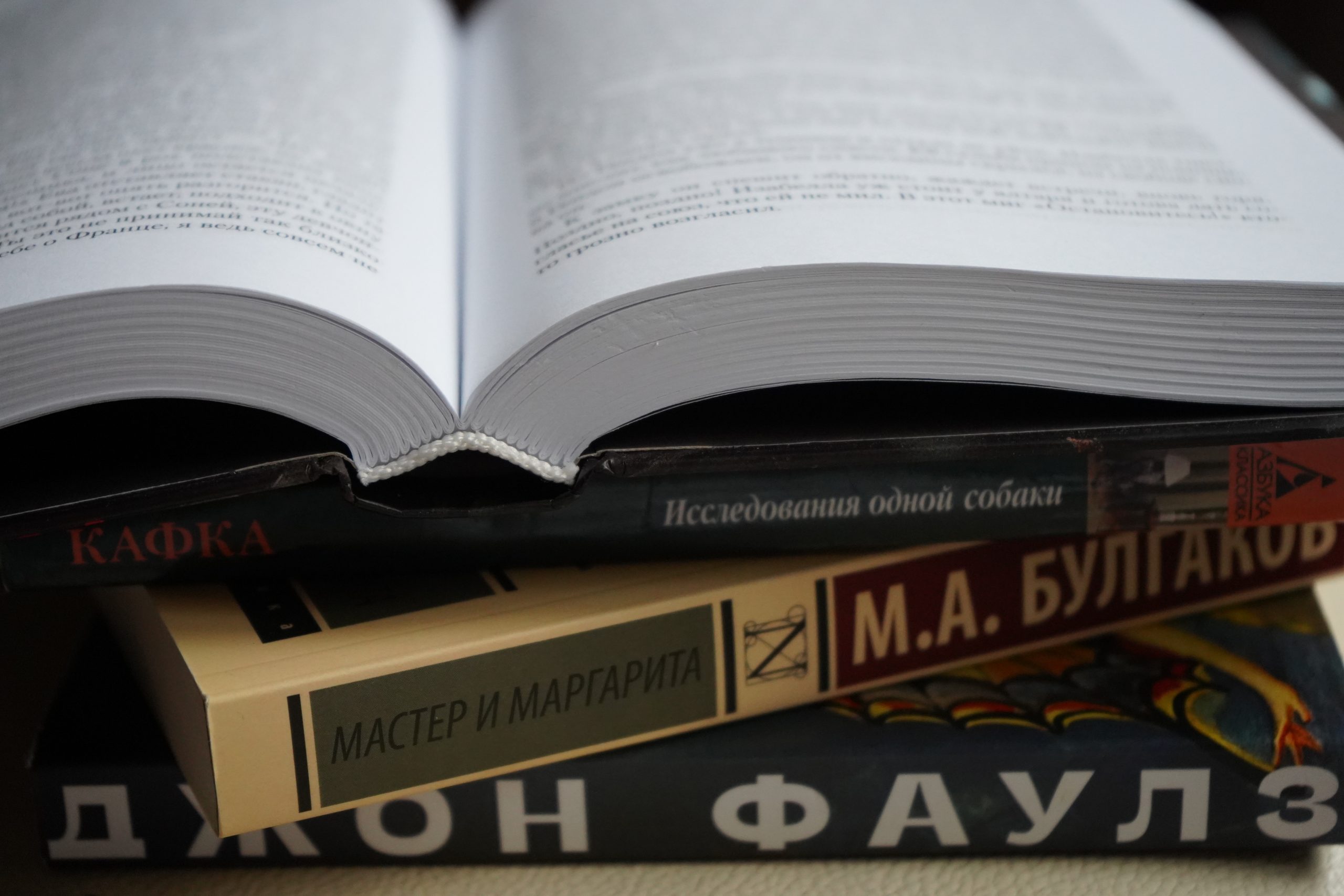 Акция по сбору книг состоится в библиотеке №136 имени Льва Толстого. Фото: Анна Быкова, «Вечерняя Москва»
