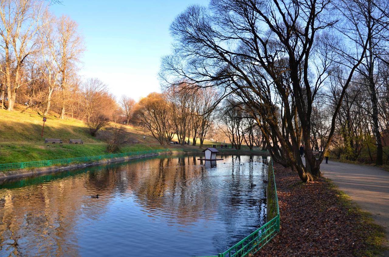 Пруд в «Коломенском» вошел в список самых живописных парковых водоемов в столице. Фото: Анна Быкова, «Вечерняя Москва»