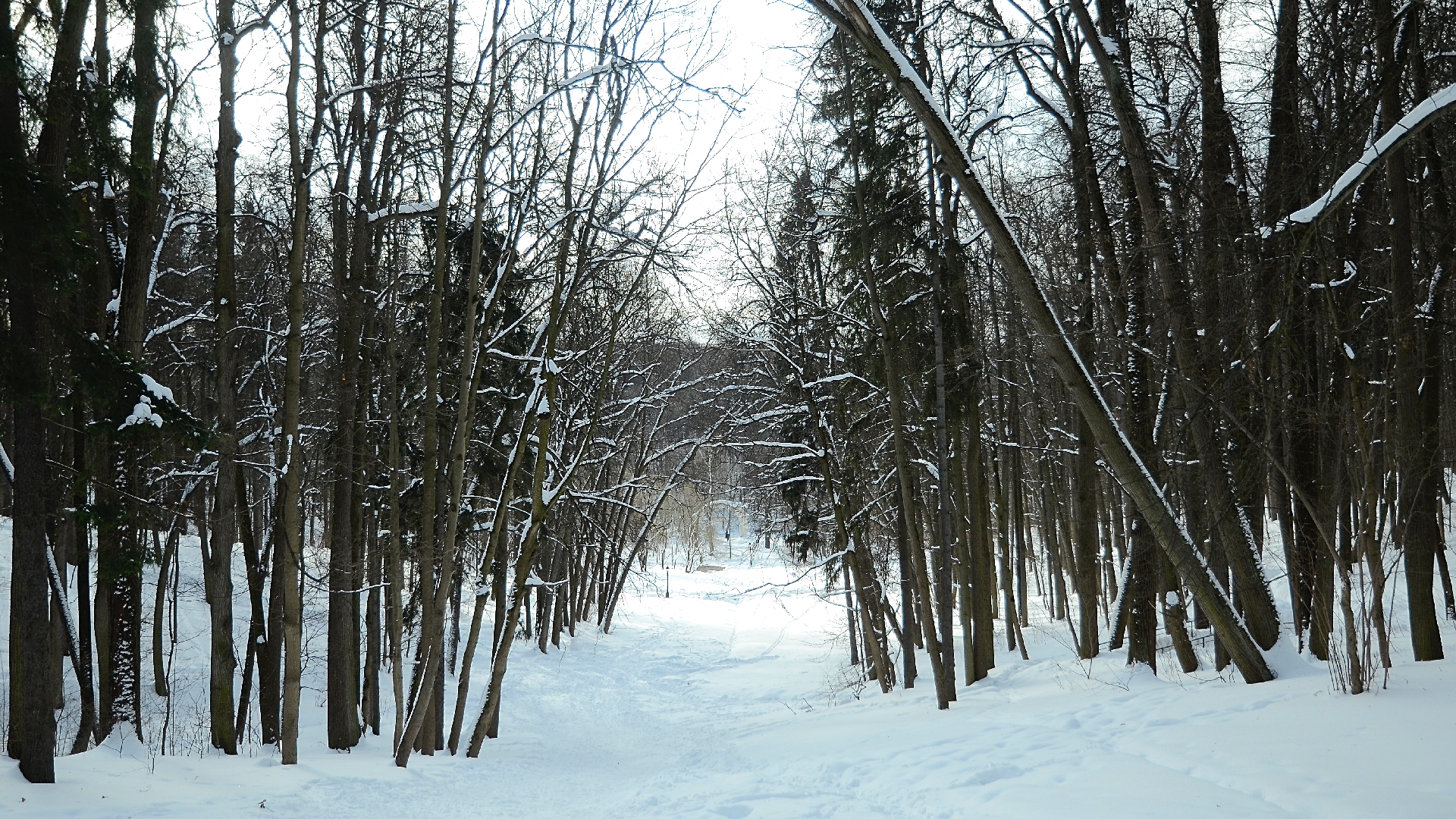 Тренировка по фитнесу состоится в парке имени Юрия Лужкова. Фото: Анна Быкова, «Вечерняя Москва»