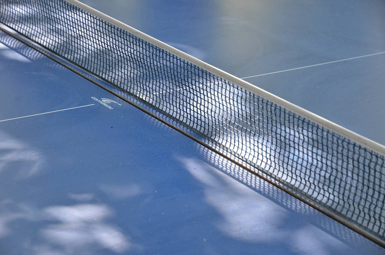 Турнир по настольному теннису состоялся в библиотеке №136 имени Льва Толстого. Фото: Анна Быкова, «Вечерняя Москва»