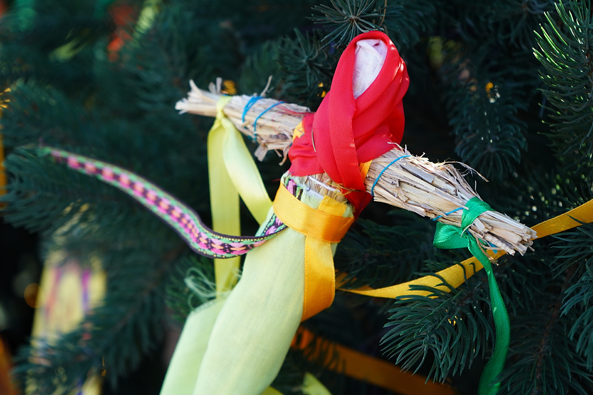 Экскурсия в Совхоз имени Ленина состоялась для учеников школы №507. Фото: Анна Быкова, «Вечерняя Москва»