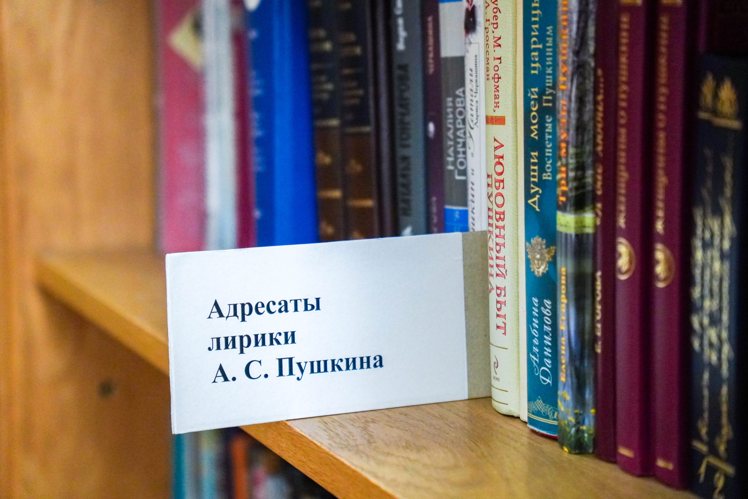 Литературно-творческая мастерская пройдет в Центральной библиотеке №136 имени Льва Толстого. Фото: Ксения Догонашева, «Вечерняя Москва»